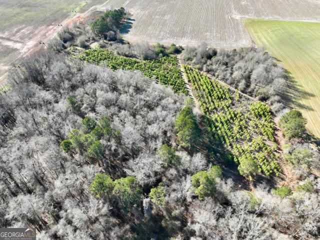 Land for sale in Byromville, Georgia