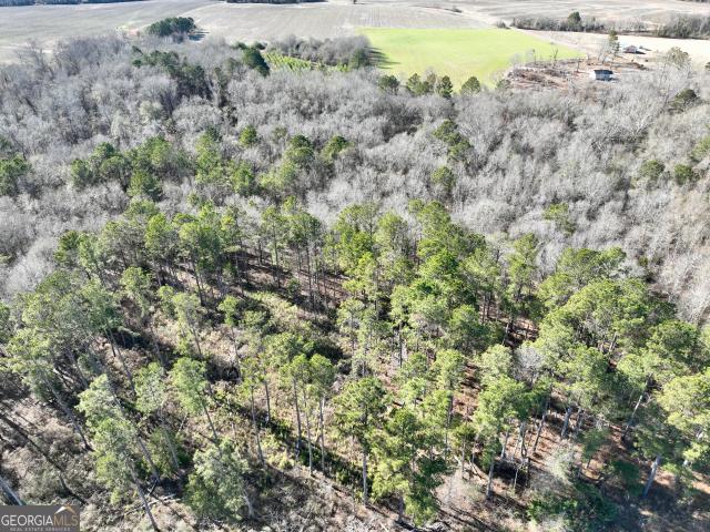 Land for sale in Byromville, Georgia