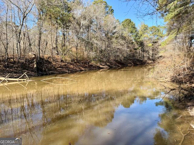Land for sale in Byromville, Dooly County