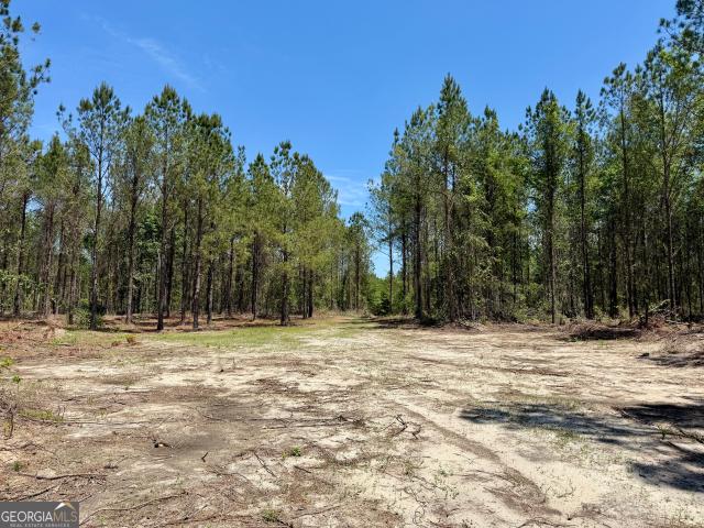 Land for sale in Dodge, Georgia