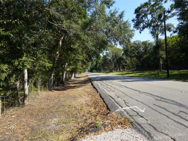 Land for sale in Thompsons, Texas