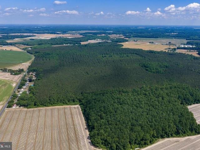 Land for sale in Wicomico, Maryland