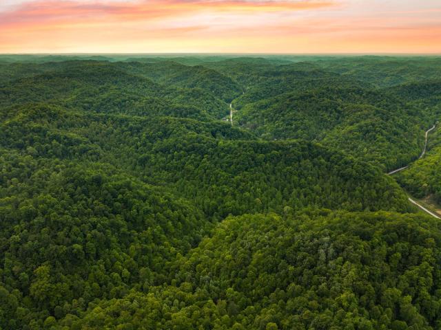Land for sale in Jackson, Kentucky
