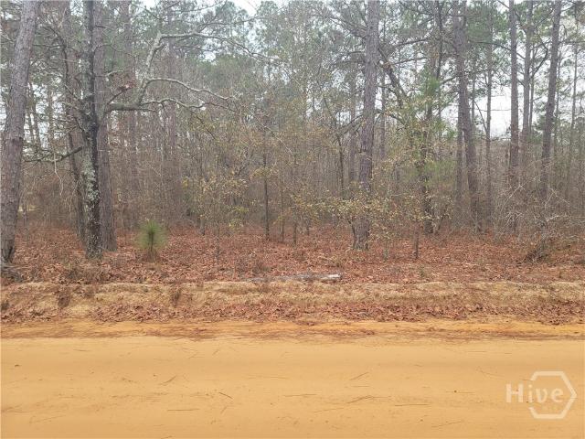 Land for sale in Collins, Georgia