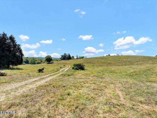 Land for sale in Tennessee