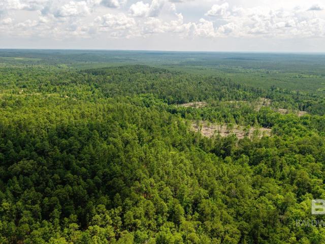 Land for sale in Bay Minette, Alabama