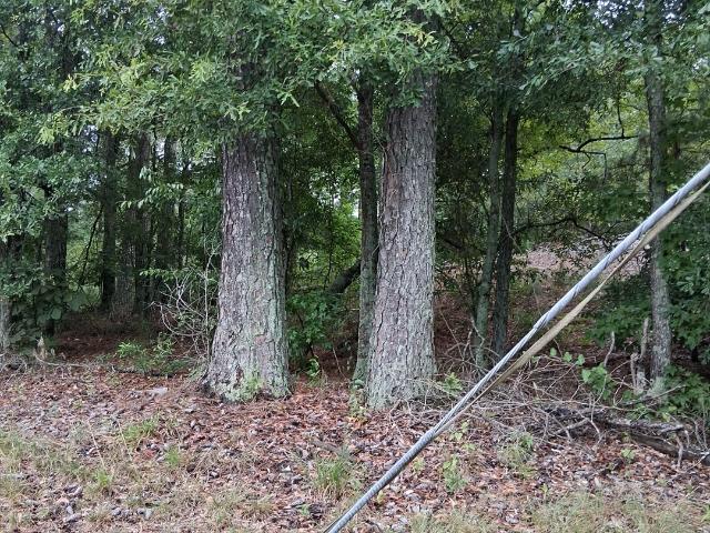 Land for sale in Cobb, Georgia
