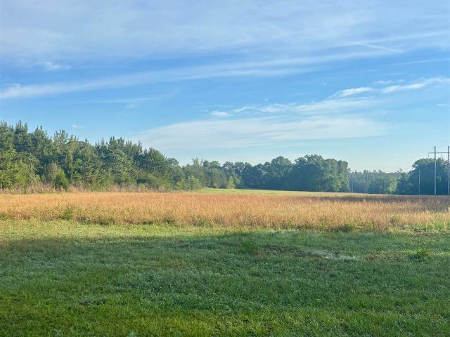 Land for sale in Castleberry, Alabama