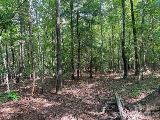 Land for sale in Drexel, North Carolina