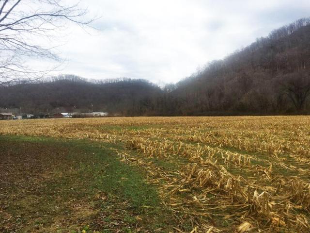 Land for sale in Auxier, Kentucky