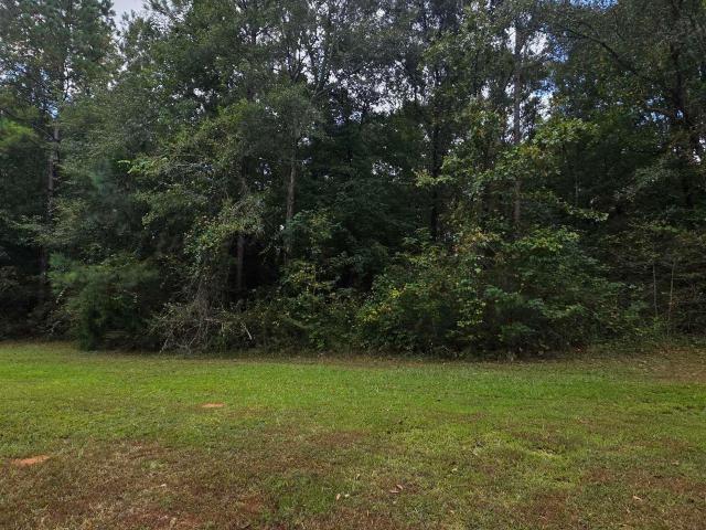 Land for sale in Talladega, Alabama