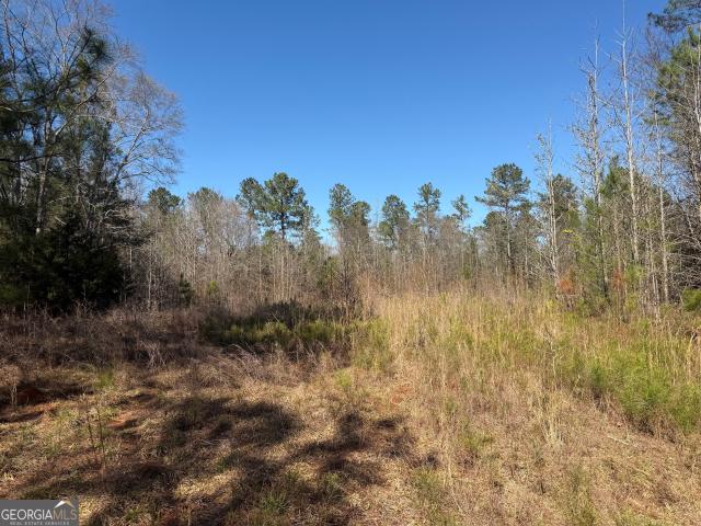 Land for sale in Elbert, Georgia