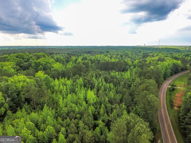 Land for sale in Luthersville, Georgia
