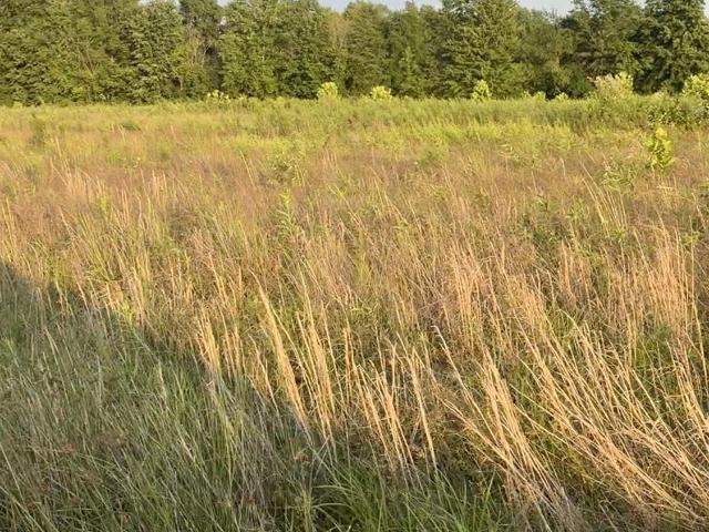 Land for sale in Winchester, Ohio