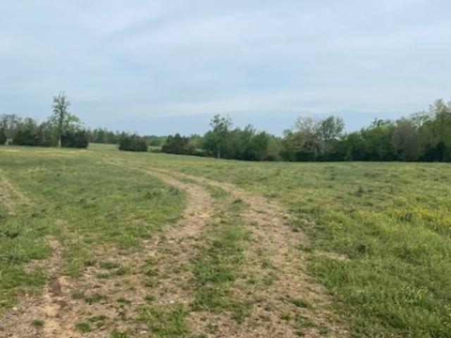 Land for sale in Tennessee
