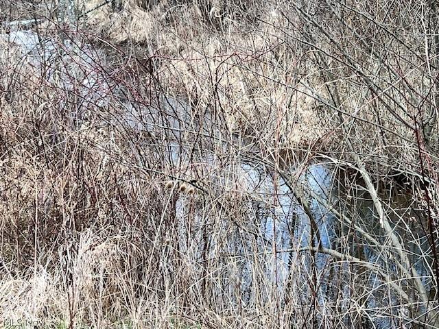 Land for sale in Belmont, Ohio