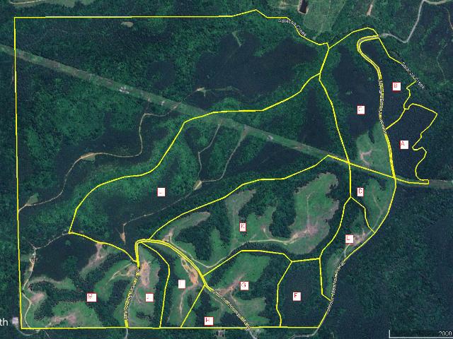 Land for sale in Bartow, Georgia