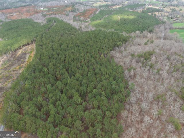 Land for sale in Bartow, Georgia