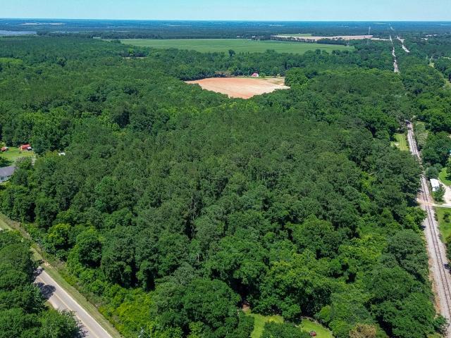 Land for sale in Bronwood, Georgia