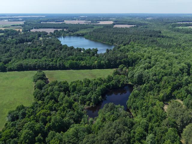 Land for sale in Red Springs, North Carolina