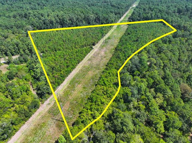 Land for sale in Walker, Texas