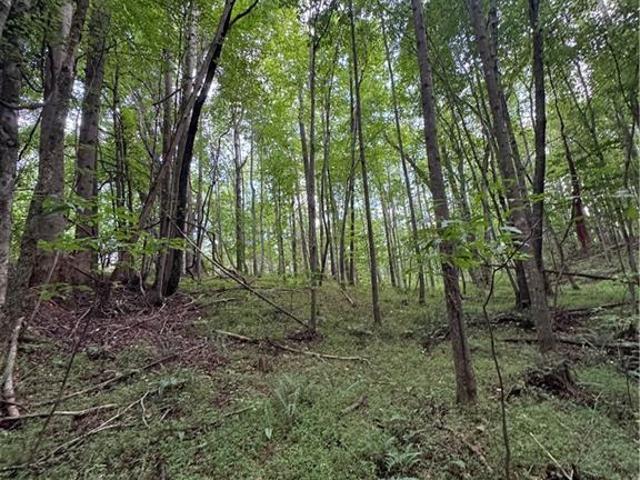 Land for sale in Stokes, North Carolina