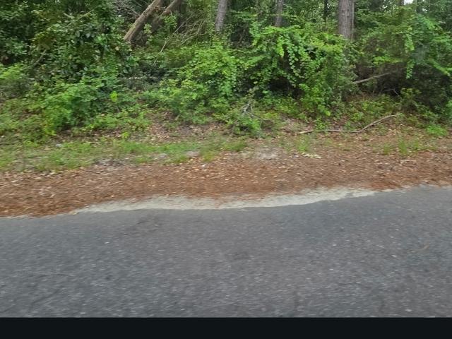 Land for sale in Baxley, Georgia