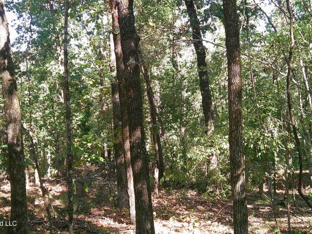 Land for sale in Mount Olivet, Batesville