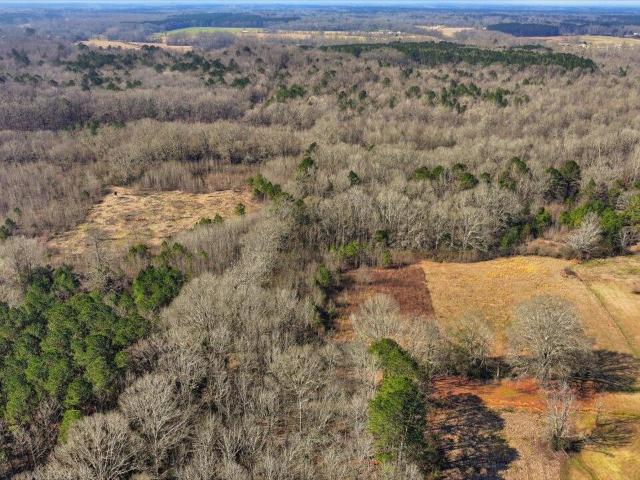 Land for sale in Pelahatchie, Mississippi