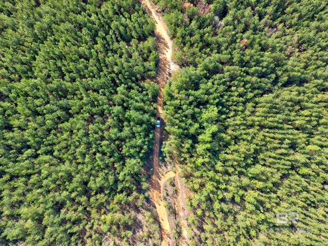 Land for sale in Bay Minette, Alabama