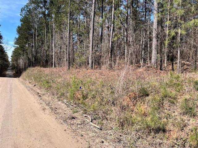 Land for sale in Union City, Georgia