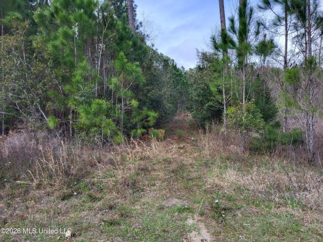 Land for sale in Pass Christian, Mississippi