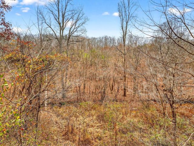 Land for sale in Vinton, Ohio
