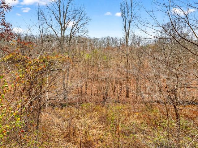 Land for sale in Vinton, Ohio