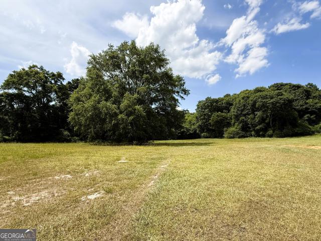Land for sale in Elbert, Georgia