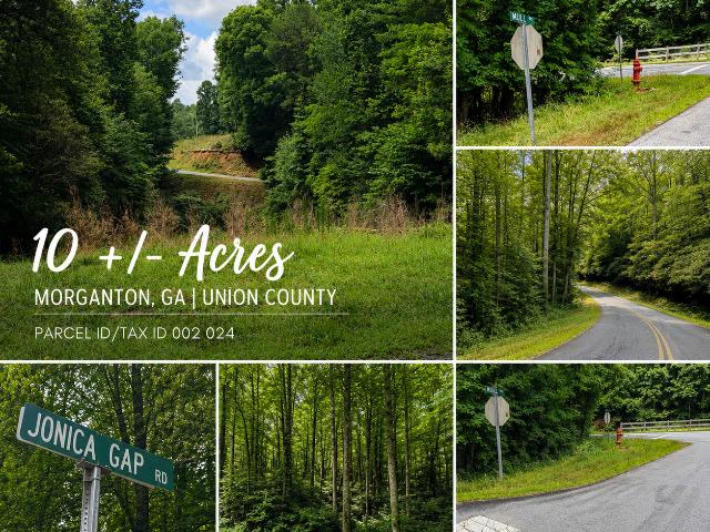 Land for sale in Morganton, Georgia