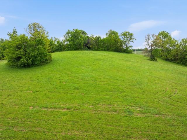 Land for sale in Porter, Sadieville