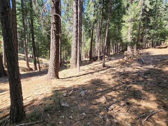 Land for sale in California