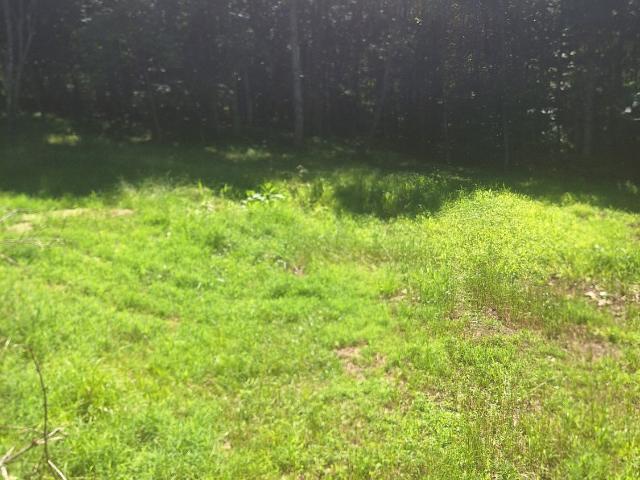 Land for sale in Morganton, Georgia