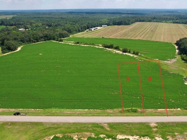 Land for sale in Newton, Alabama