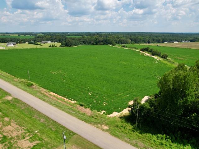 Land for sale in Newton, Alabama