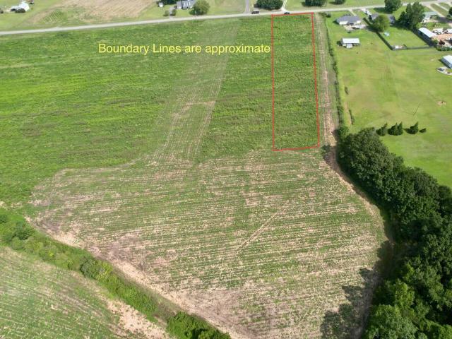 Land for sale in Newton, Alabama