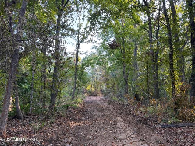 Land for sale in Yazoo City, Yazoo County