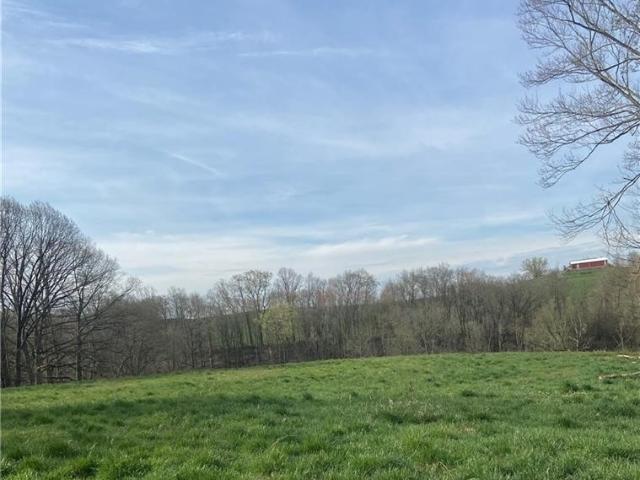 Land for sale in Belmont, Ohio