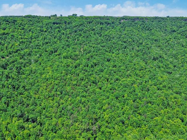 Land for sale in Jamestown, Middle Tennessee
