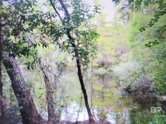 Land for sale in Seminole, Alabama