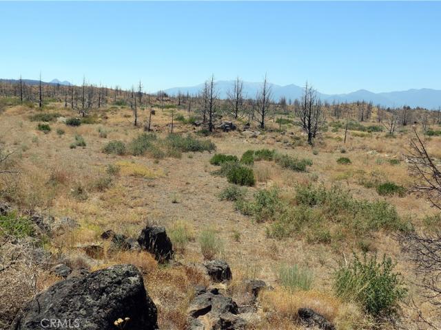 Land for sale in Weed, California