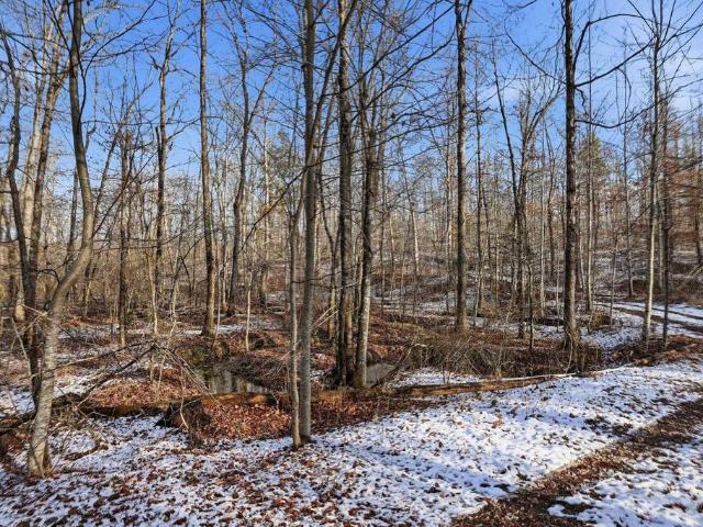 Land for sale in Virginia