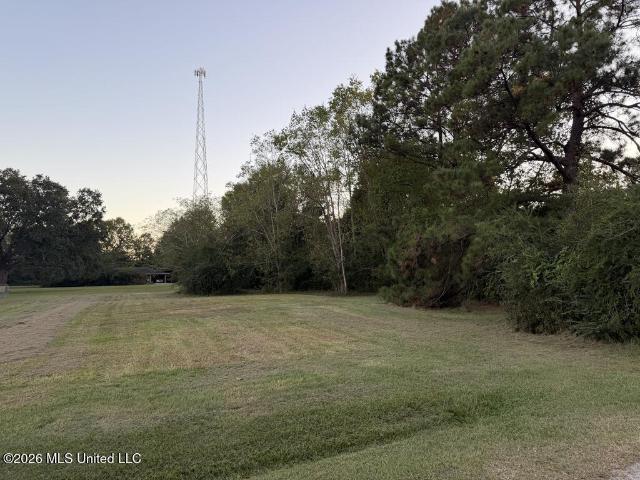 Land for sale in Carriere, Pearl River County