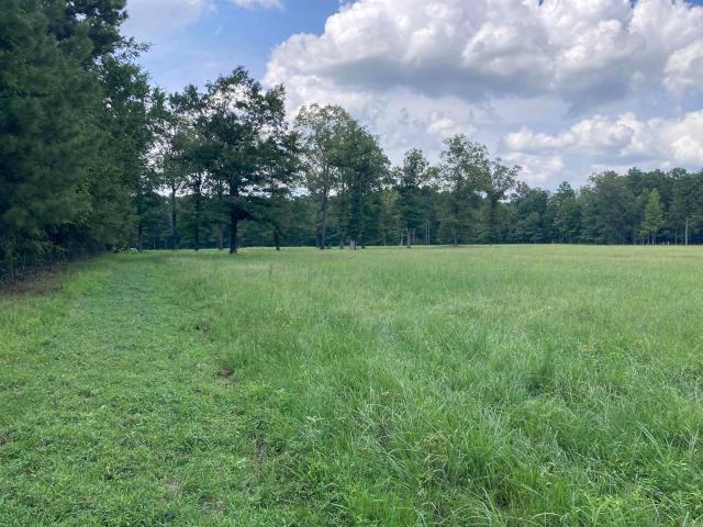 Land for sale in Pine Bluff